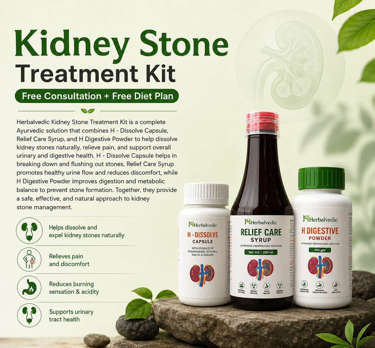 Herbal vedic kidney stone kit
